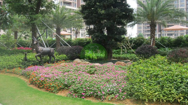 广州绿植租赁划算还是买划算