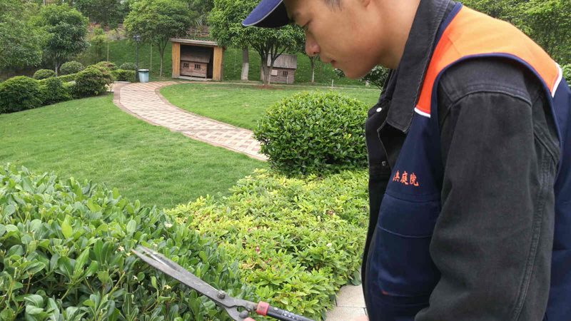 喷播绿化报价背后的项目解析