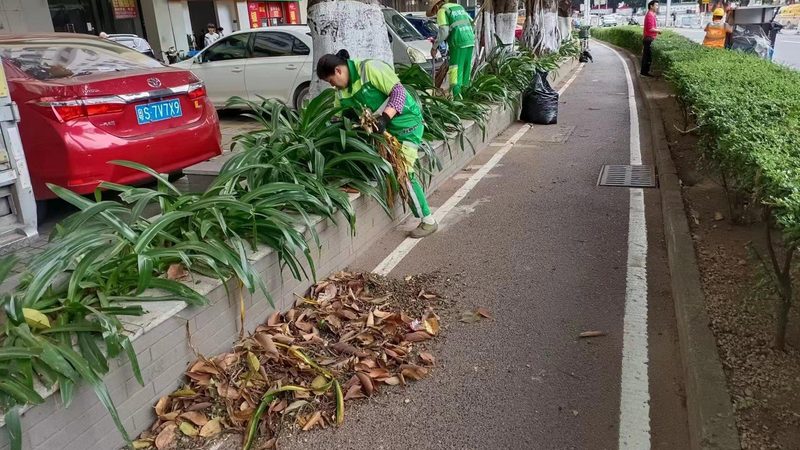 道路绿化造价清单的构成要素及注意事项