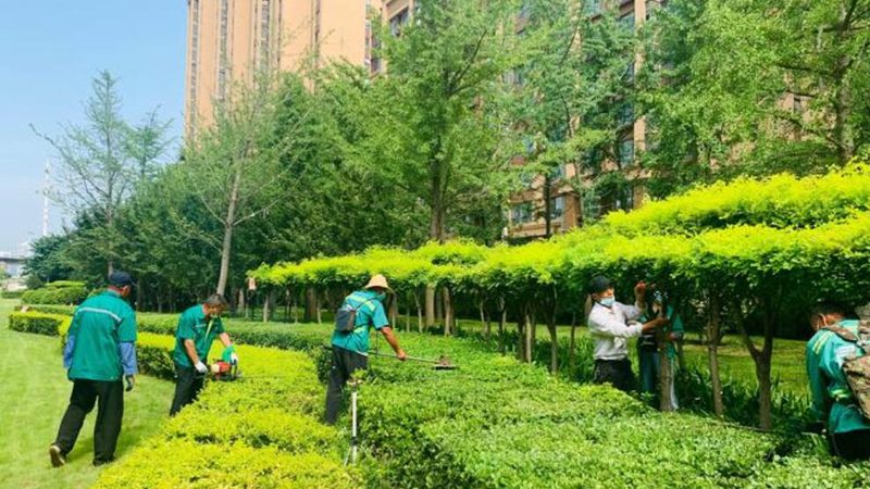 垂直绿化代理加盟哪家好