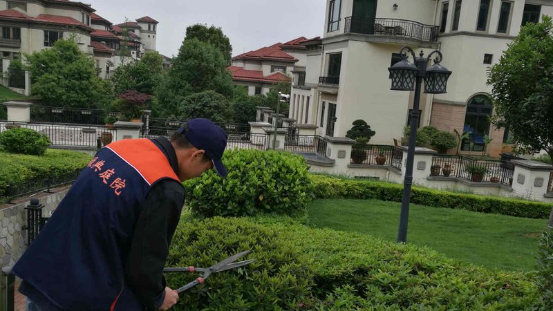 市政道路绿化种植土要求：如何保障植物成活与生态效益