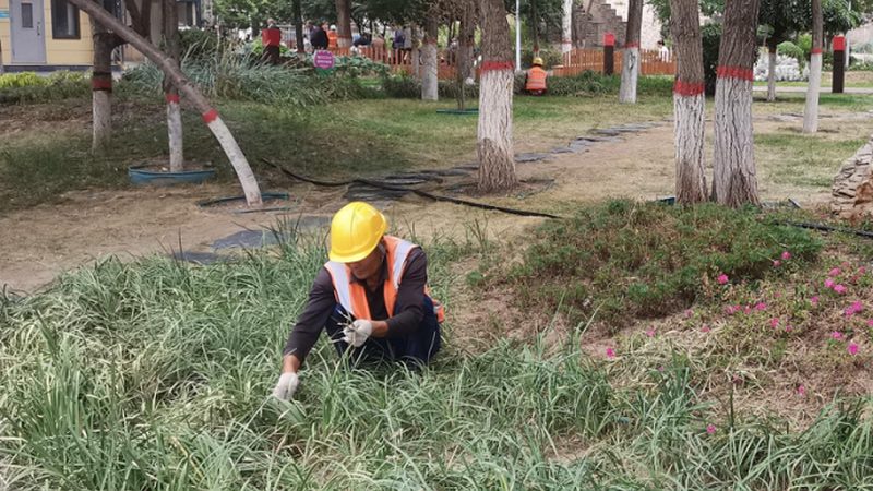 广州绿植租赁安装养护全流程解析