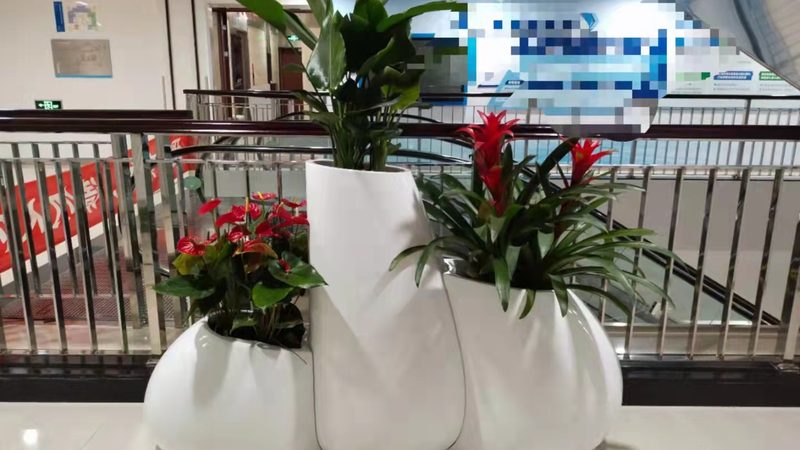 边坡绿化喷播植草，价格走势如何解读？**