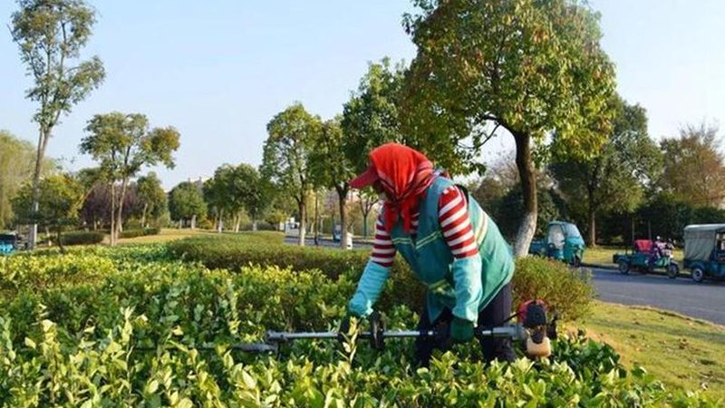 园林绿化资质代办：价格之外，你还需要了解这些**